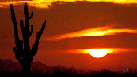 sunset beats