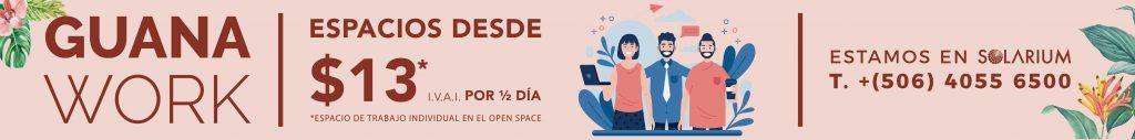 GuanaWork2